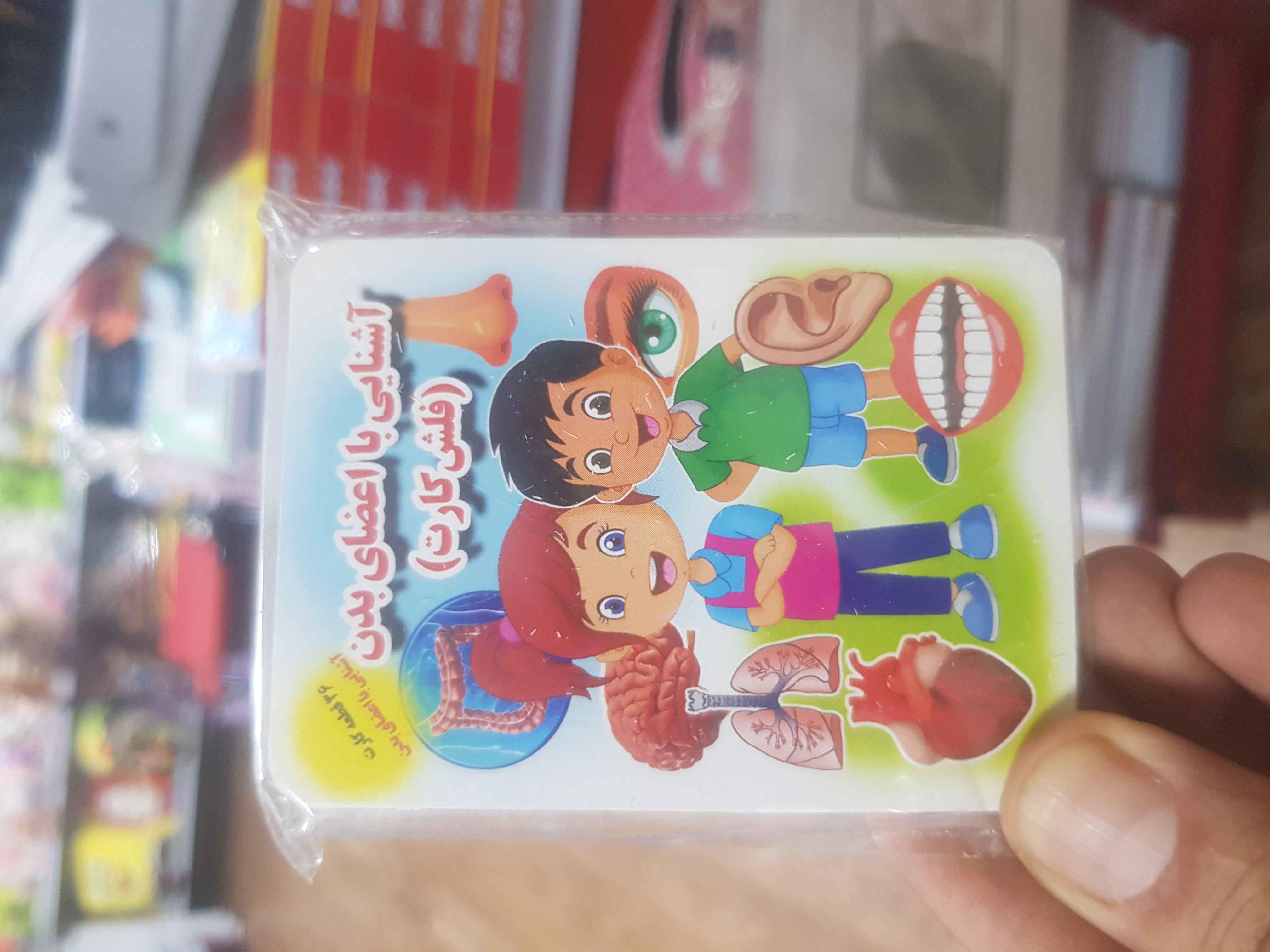 فلش کارت آشنایی بااعضای بدن